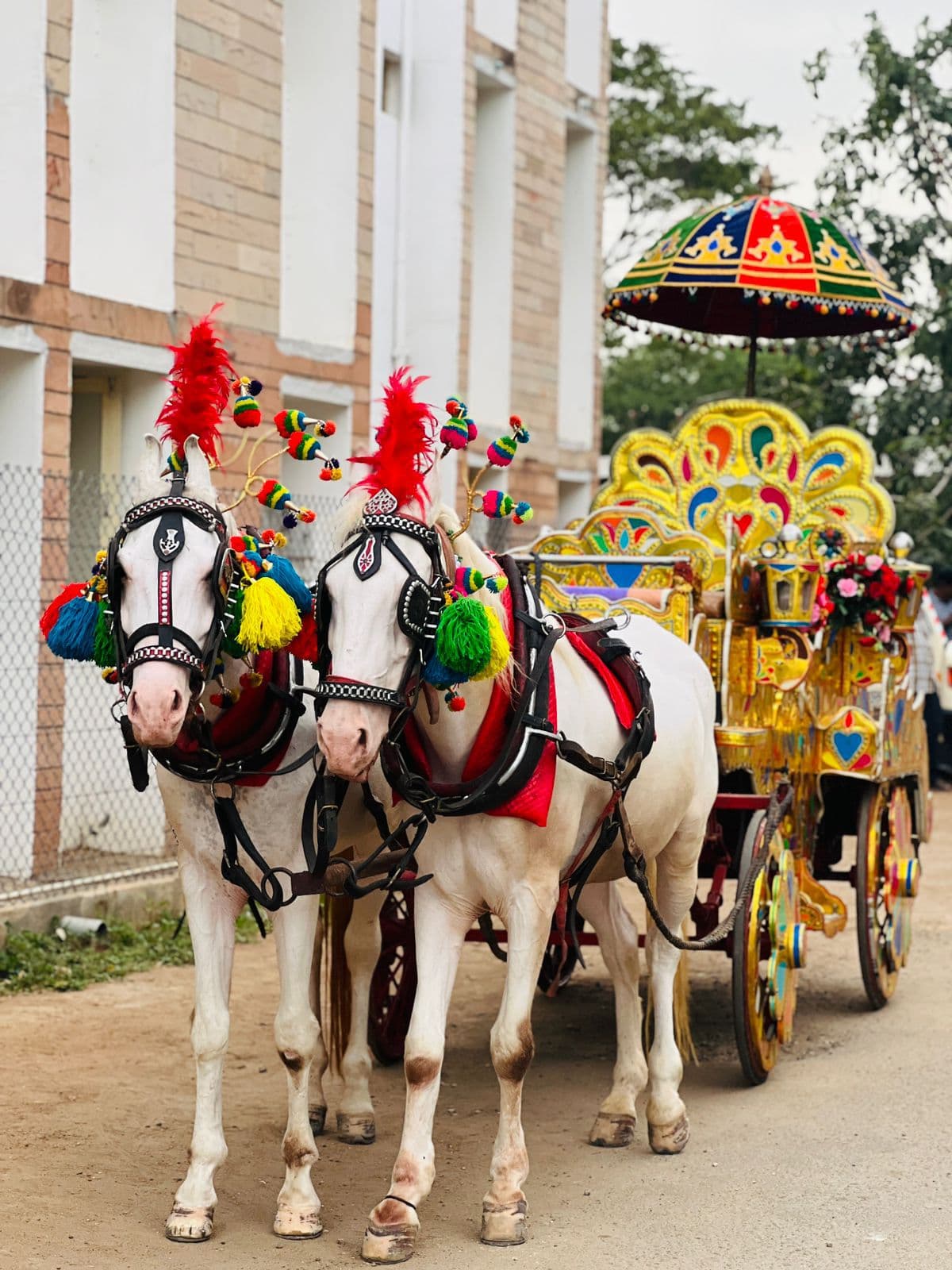 Horse Chariot